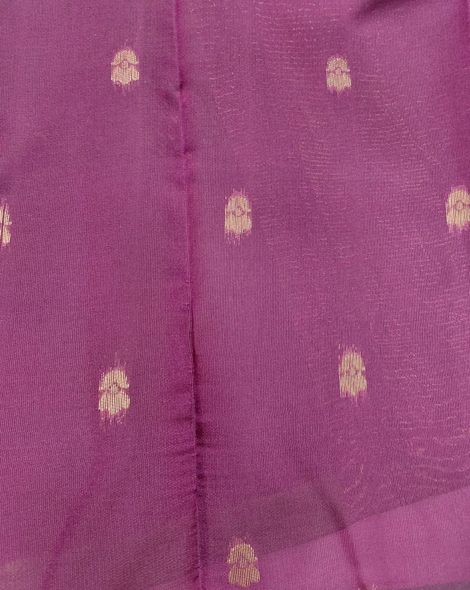 Gubera Saree